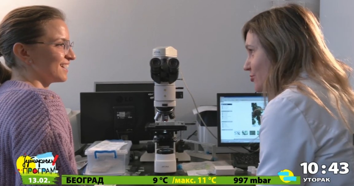 TV show screenshot