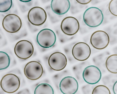 Group for biomedical engineering and nanobiotechnology